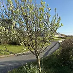 Luxurious Large West Cork With Seaviews Dom wakacyjny Skibbereen