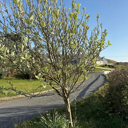 Luxurious Large West Cork With Seaviews 別荘 スキバリーン