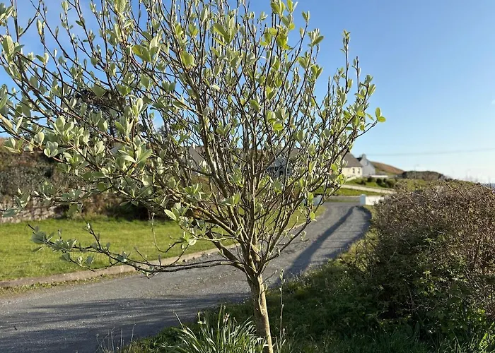 Luxurious Large West Cork With Seaviews Semesterbostad Skibbereen